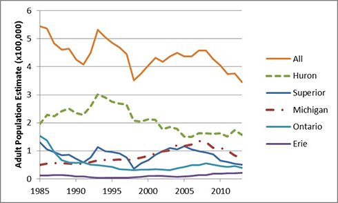 adult abundace, 5 year trend chart