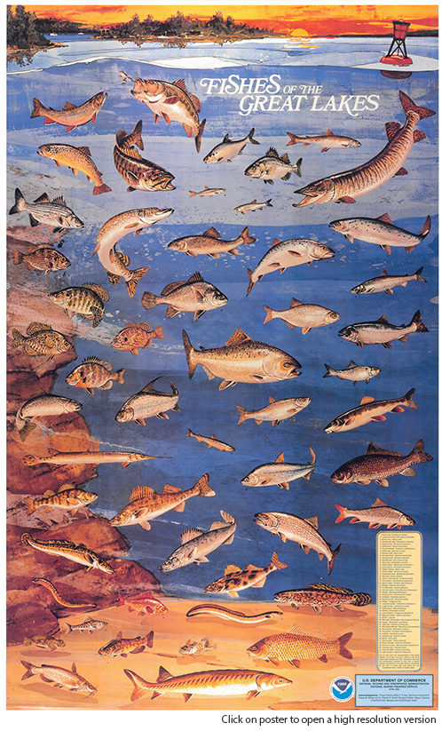 Lake Ontario Fish Species Chart