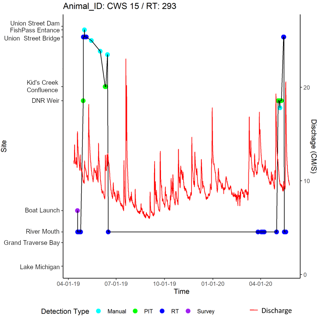 This plot shows one individual white sucker Catostomus commersonii that was captured in the river during April 2019 near the boat launch, tagged and released. It spent several weeks in the river, moved out into the bay as detected at the river mouth receiver at the end of June and then spent the remainder of the year out in the bay before returning to the river at the end of April 2020 as water discharge increased during spring. The individual spent a few weeks in the river moving as far upstream as the Union Street Bridge, where it presumably spawned, and then left shortly thereafter when water discharge began to decline.