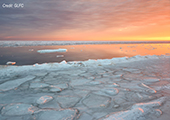 Lake Huron Icy Sunrise
