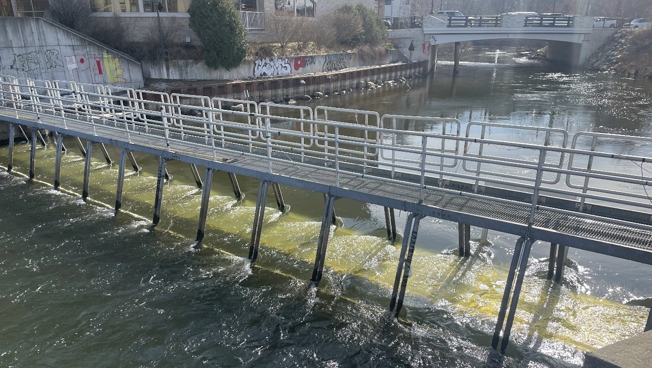 Metal pedestrian walkway with railings spanning a river, supported by vertical steel legs. Yellow dye is visible in the flowing water beneath the walkway, indicating a water flow study or tracer test. In the background, a concrete bridge and buildings line the riverbank, which is covered in graffiti. Trees and shrubs border the urban area under a bright, sunny sky.