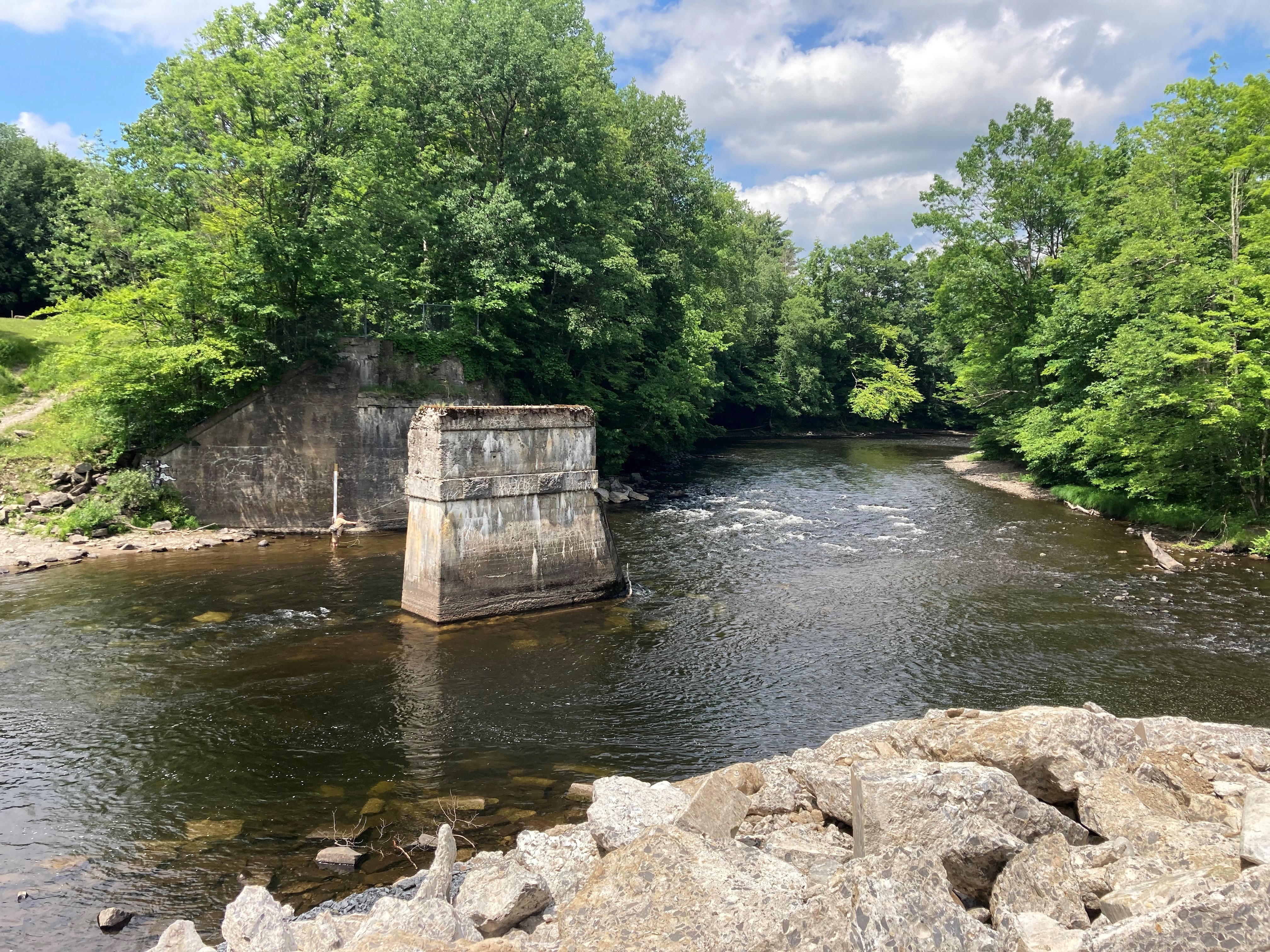 Great Lakes Fishery Commission - Pulse on Science: Project Spotlight