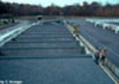 Salmon River Fish Hatchery, Holding Tanks