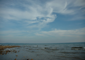 Rocky Shoreline