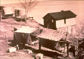 Commercial Nets Drying, Historical